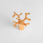 Coral Cabinet Knob