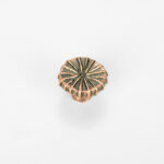Radial Cabinet Knob