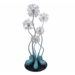 Coral Bloom