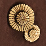 Radial Cabinet Pull Handle